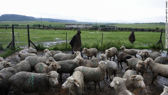 130923182816 lesotho herd boys sheep horizontal gallery